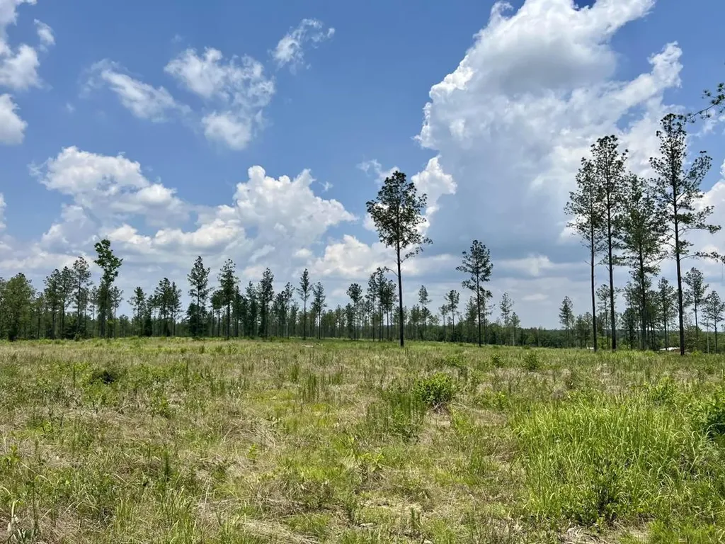 0 County Road 64 Robertsdale AL 36567