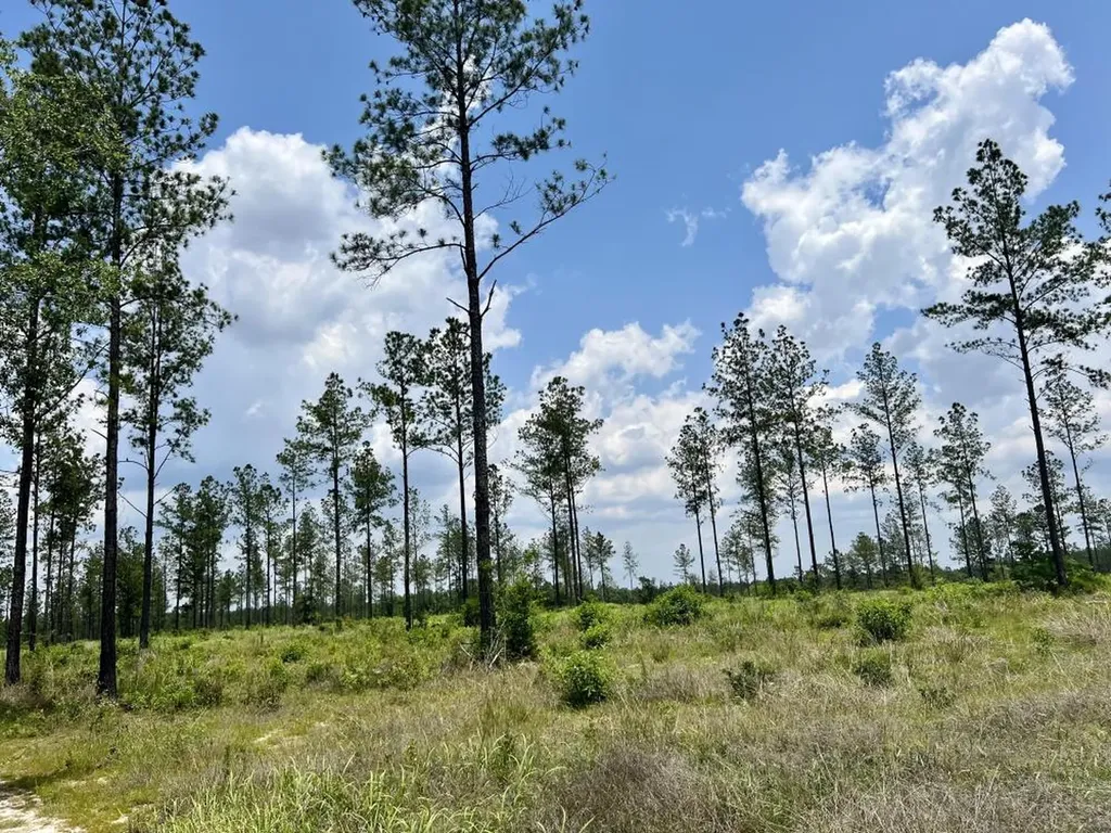 0 County Road 64 Robertsdale AL 36567