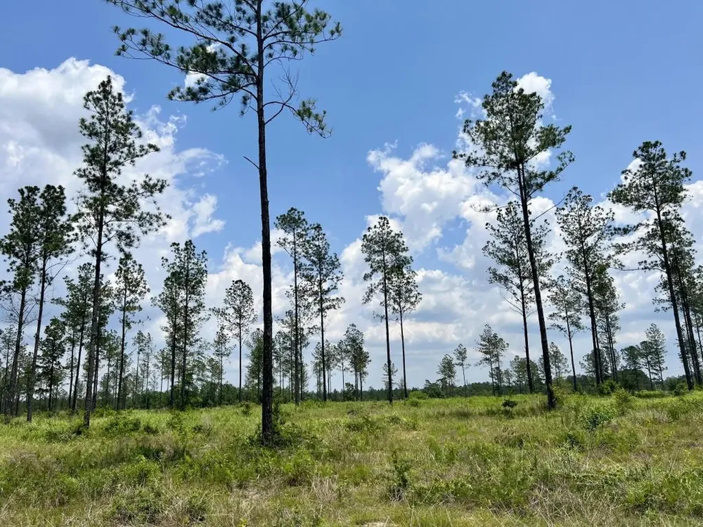 0 County Road 64 Robertsdale AL 36567