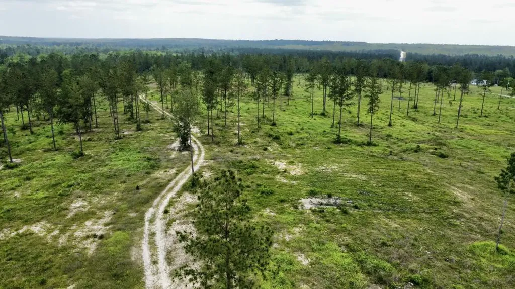 0 County Road 64 Robertsdale AL 36567