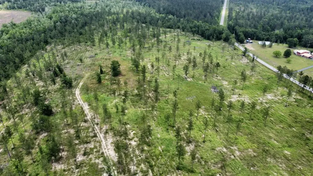 0 County Road 64 Robertsdale AL 36567