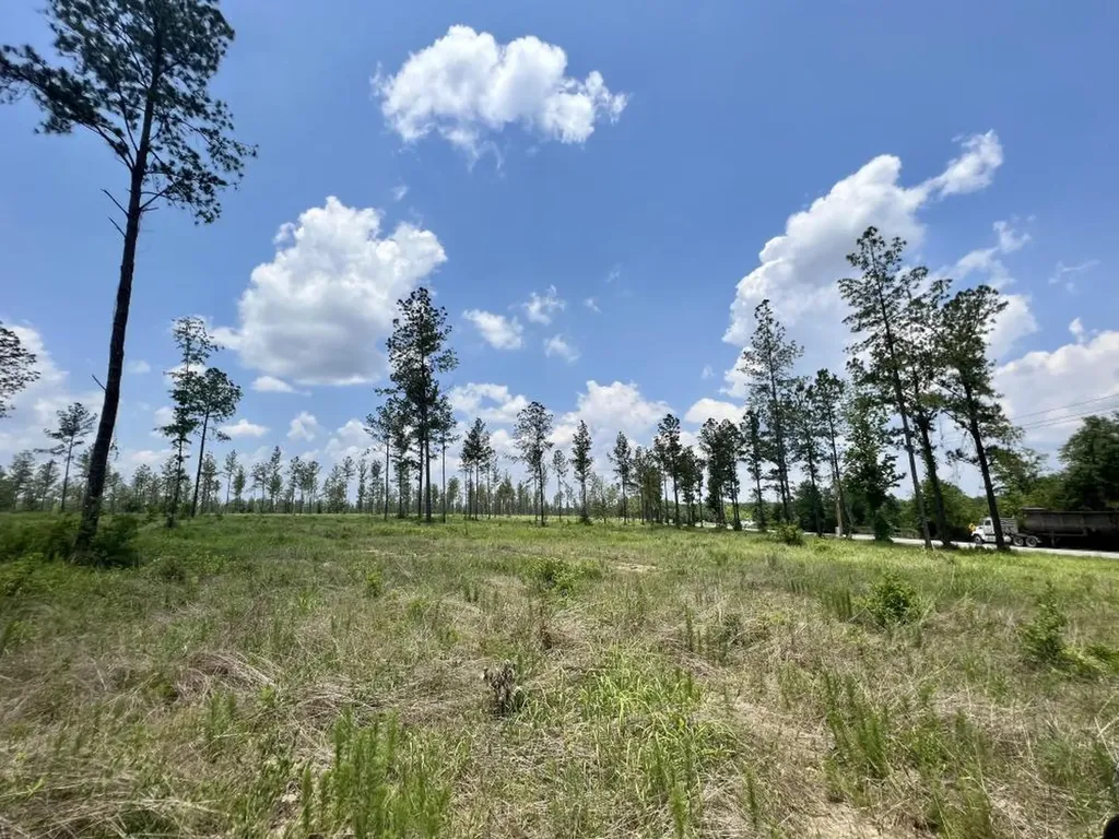 0 County Road 64 Robertsdale AL 36567