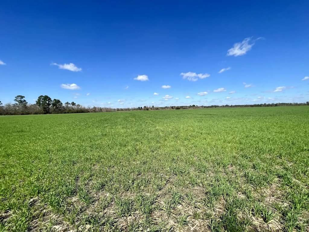 0 Pastoral Lane Foley AL 36535