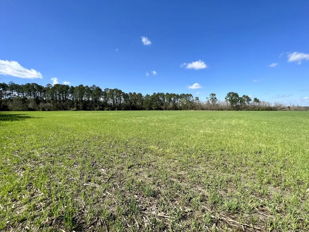 0 Pastoral Lane Foley AL 36535