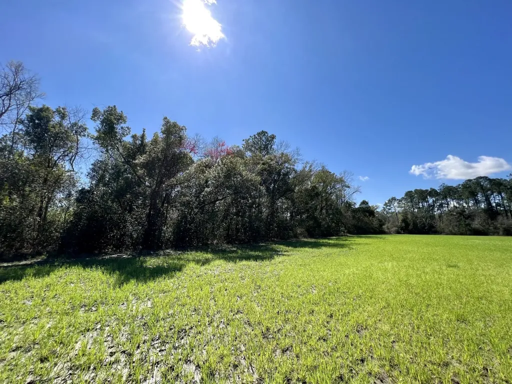 0 Pastoral Lane Foley AL 36535