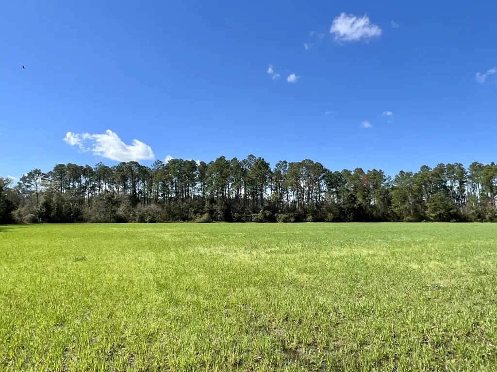 0 Pastoral Lane Foley AL 36535