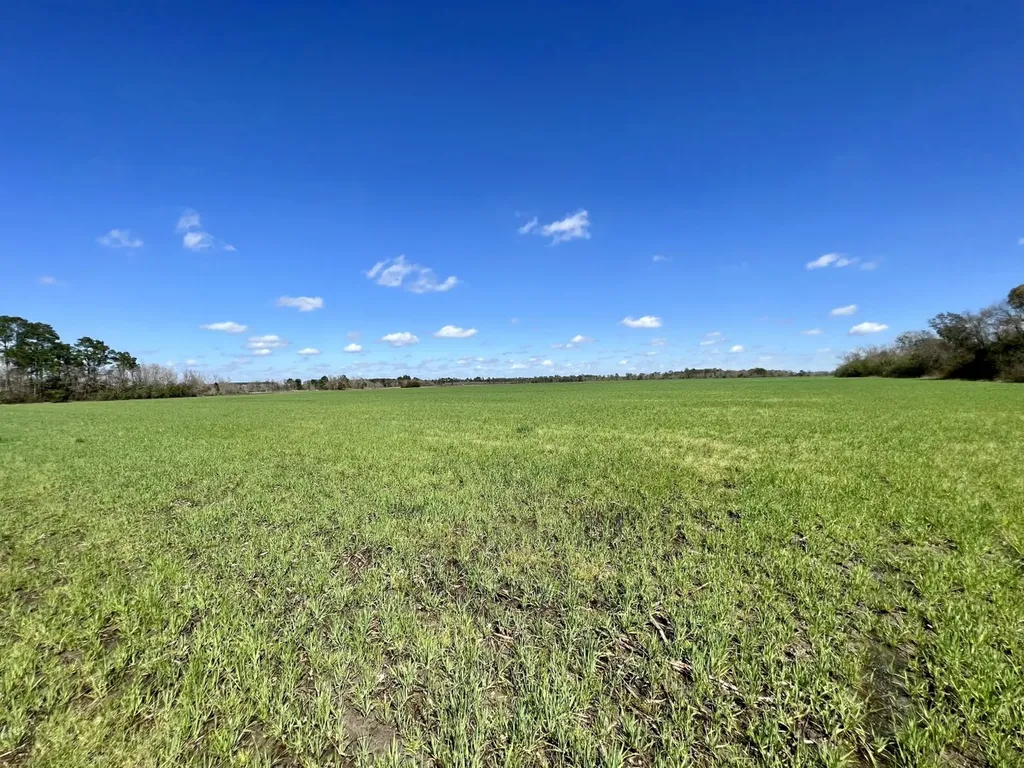 0 Pastoral Lane Foley AL 36535