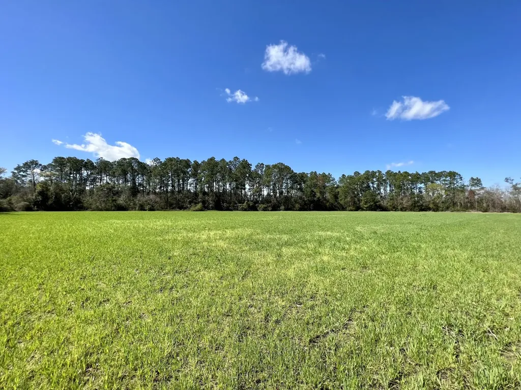 0 Pastoral Lane Foley AL 36535