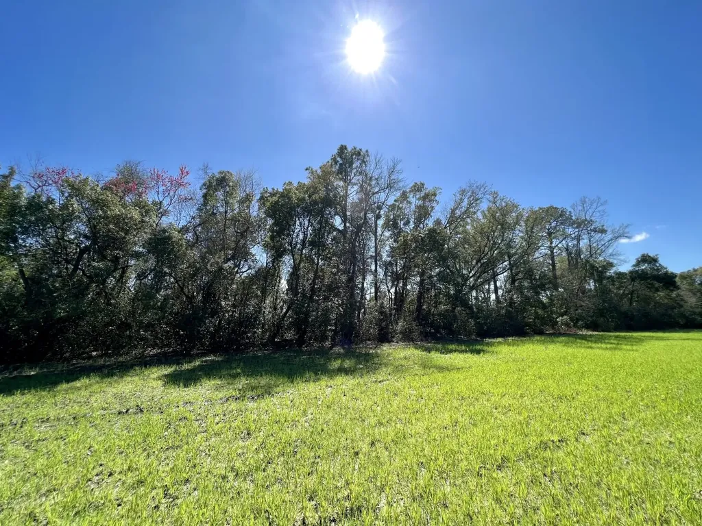 0 Pastoral Lane Foley AL 36535