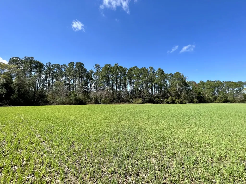 0 Pastoral Lane Foley AL 36535