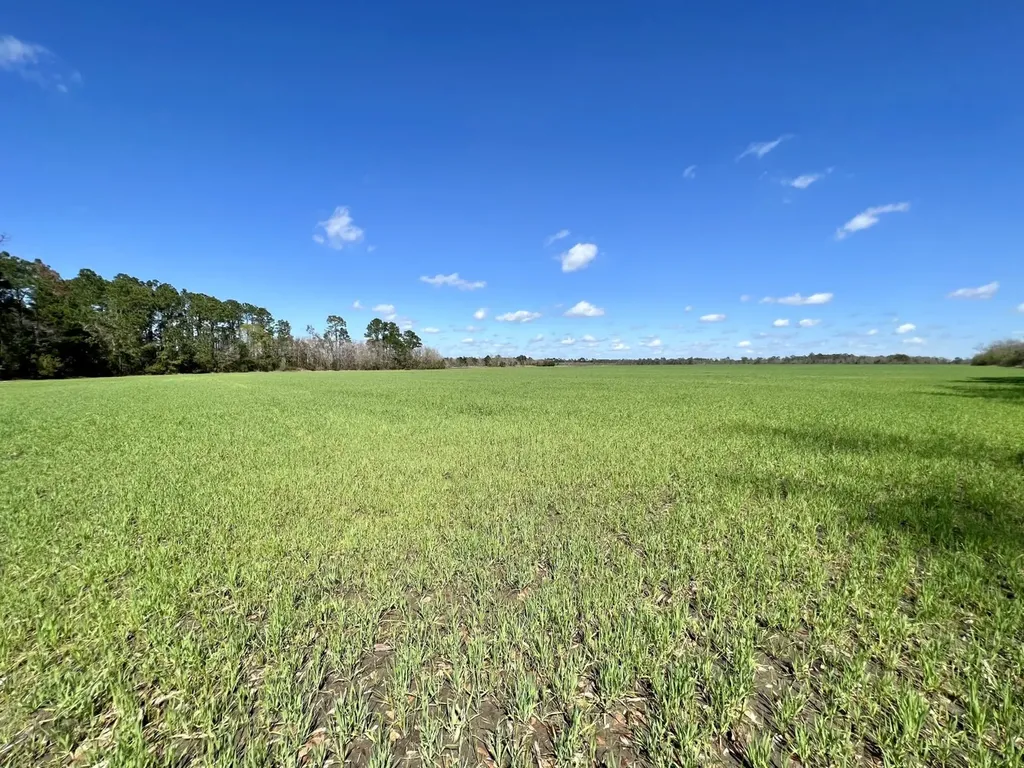 0 Pastoral Lane Foley AL 36535