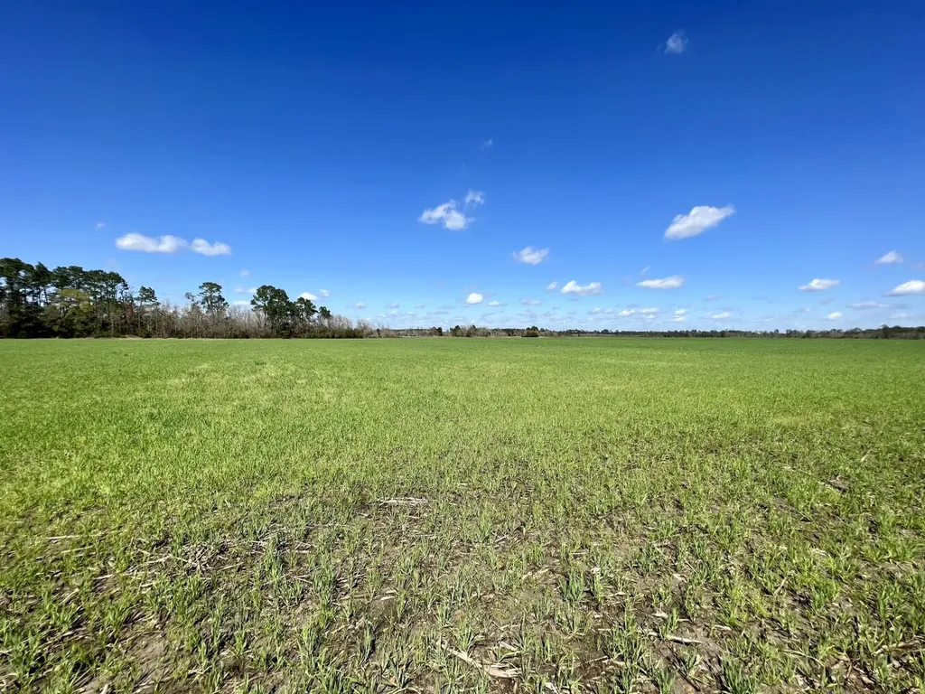 0 Pastoral Lane Foley AL 36535