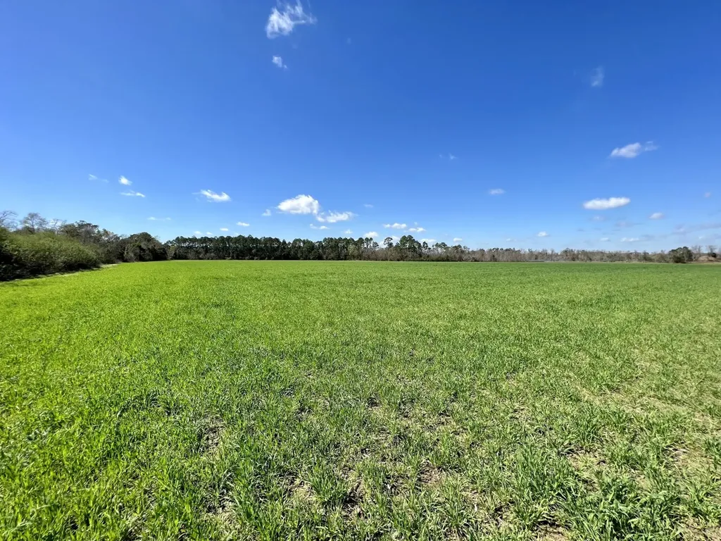 0 Pastoral Lane Foley AL 36535