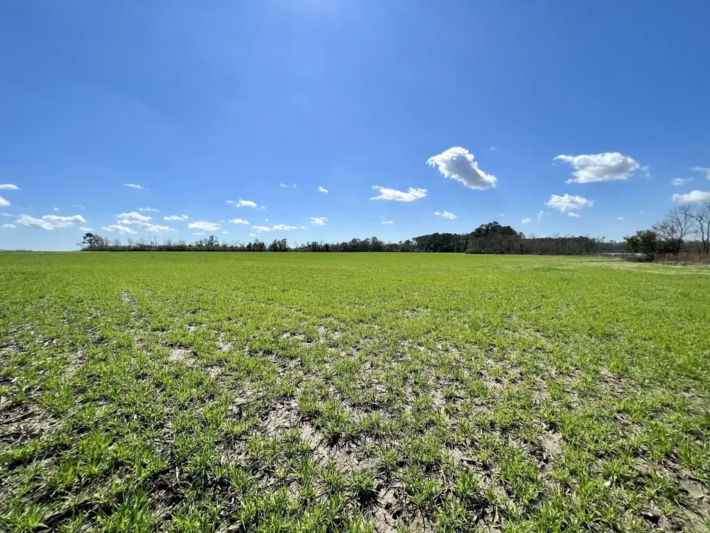 0 Pastoral Lane Foley AL 36535