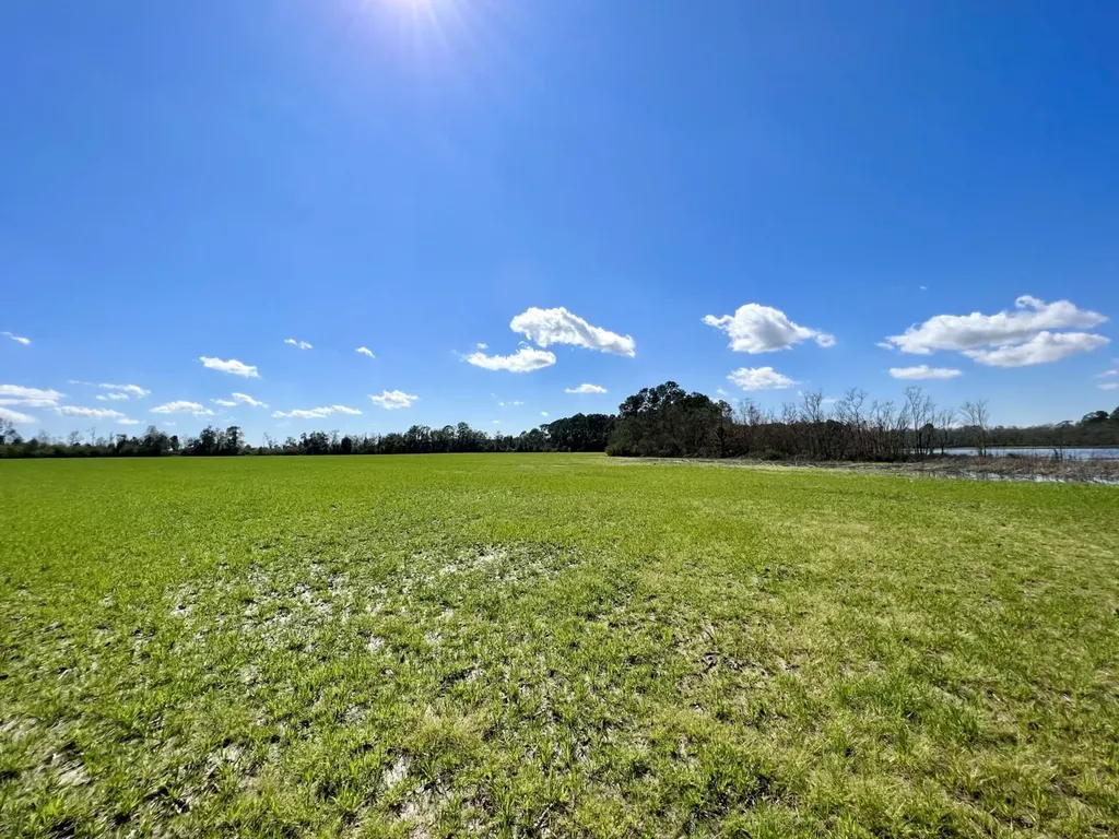 0 Pastoral Lane Foley AL 36535