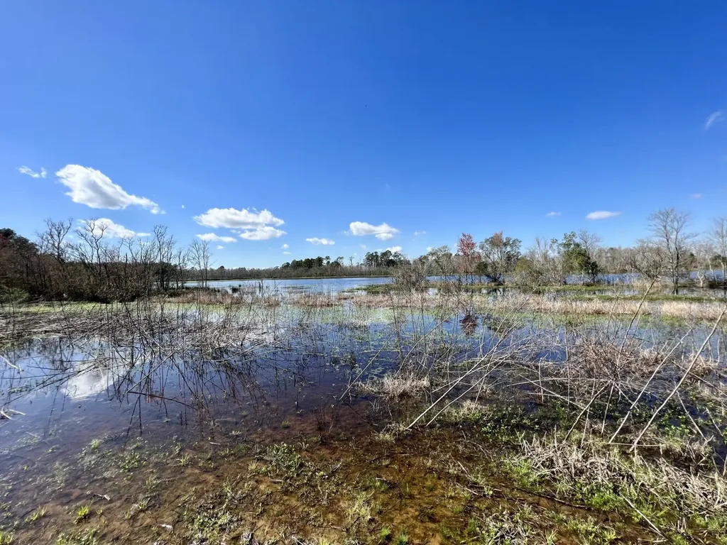 0 Pastoral Lane Foley AL 36535