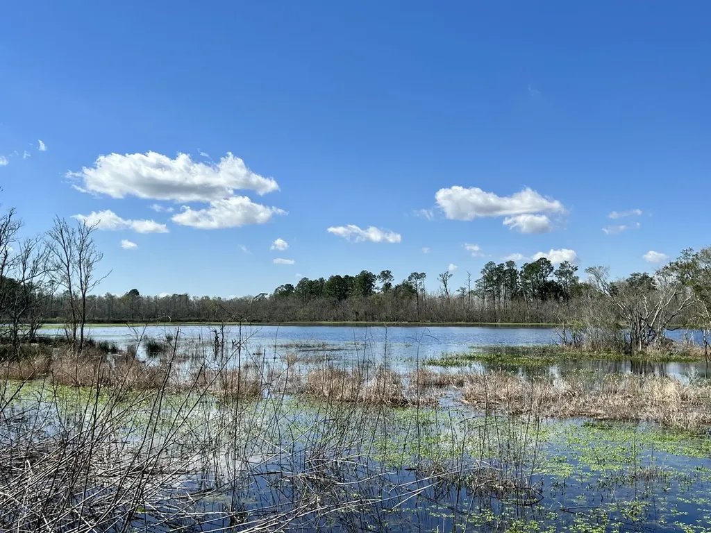 0 Pastoral Lane Foley AL 36535