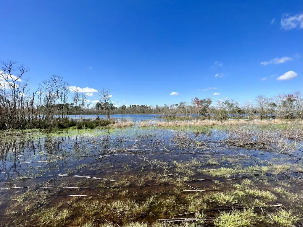 0 Pastoral Lane Foley AL 36535