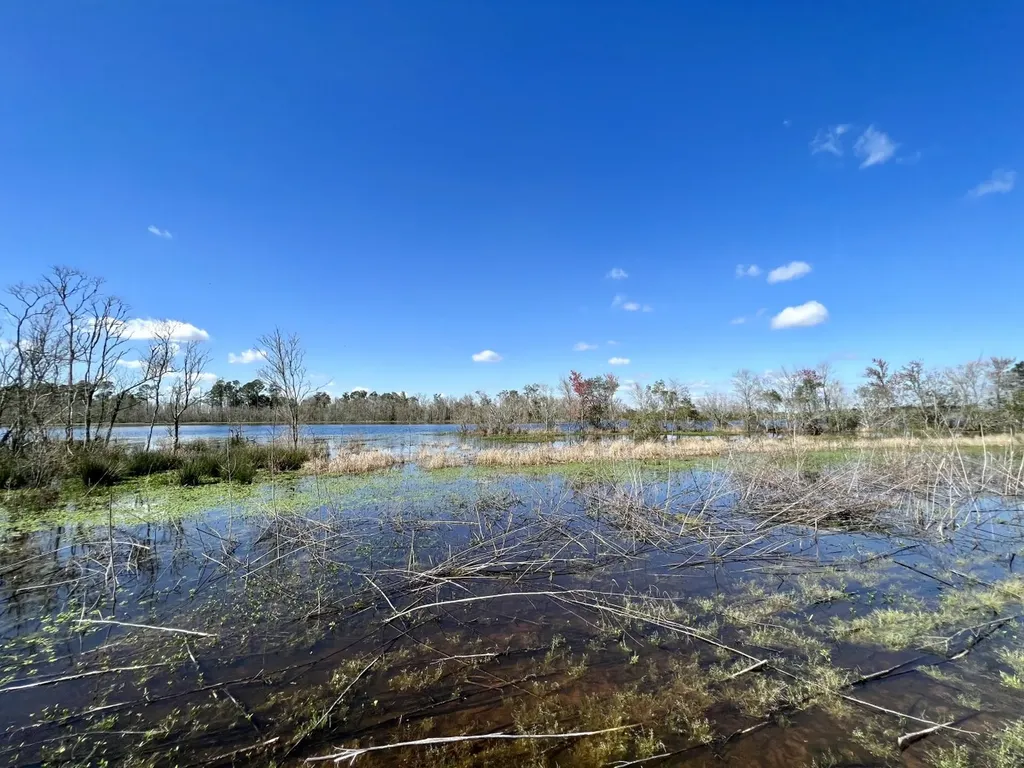 0 Pastoral Lane Foley AL 36535