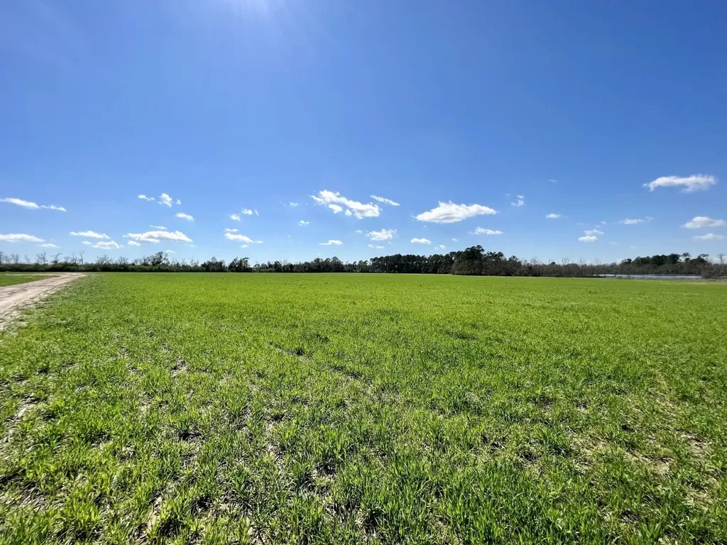 0 Pastoral Lane Foley AL 36535