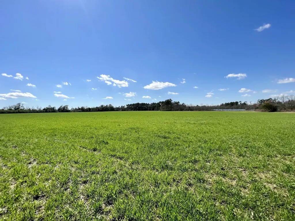 0 Pastoral Lane Foley AL 36535