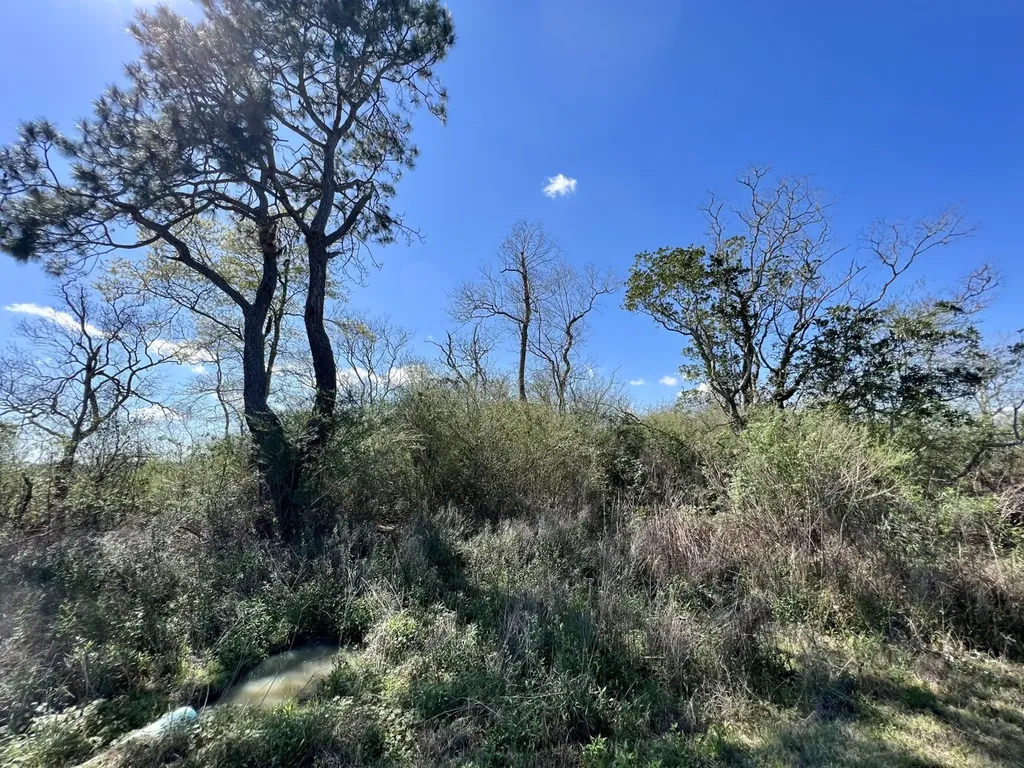 0 Pastoral Lane Foley AL 36535