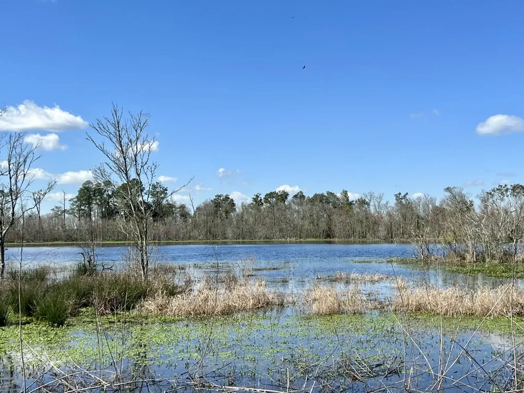 0 Pastoral Lane Foley AL 36535