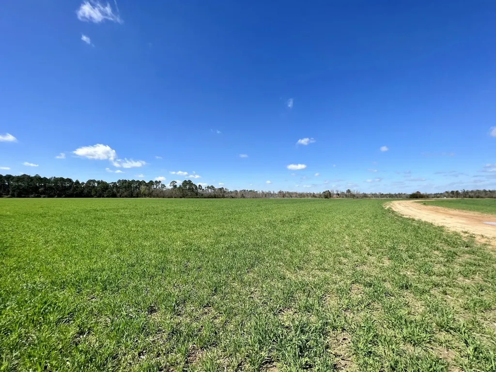 0 Pastoral Lane Foley AL 36535