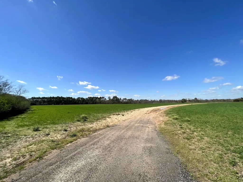 0 Pastoral Lane Foley AL 36535