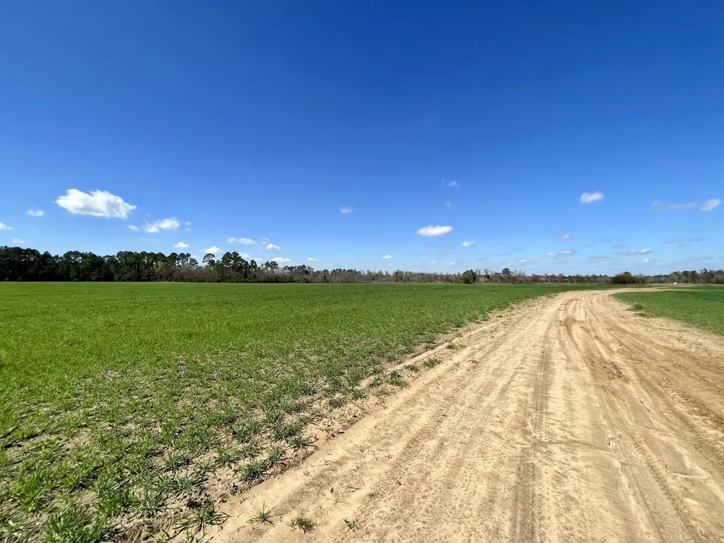 0 Pastoral Lane Foley AL 36535