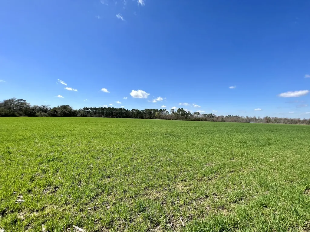 0 Pastoral Lane Foley AL 36535