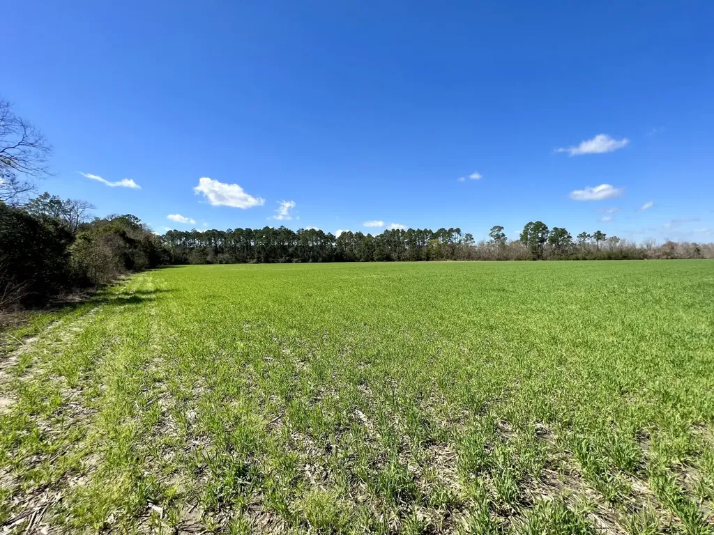 0 Pastoral Lane Foley AL 36535