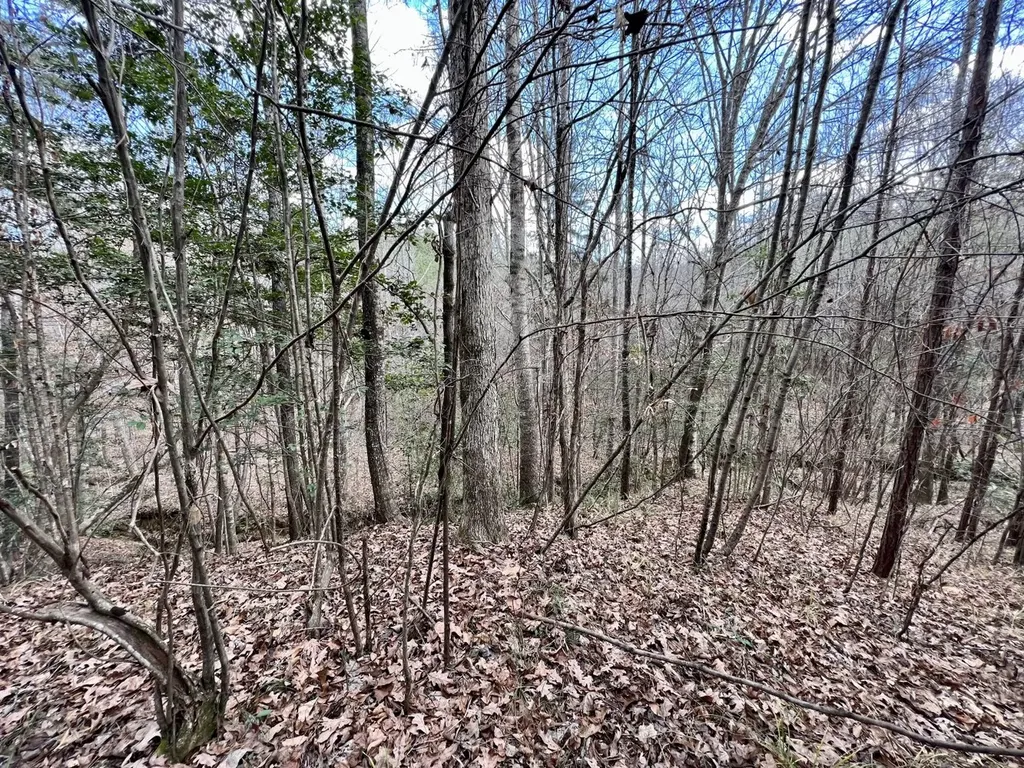 0 Ararat Road Toxey AL 36921