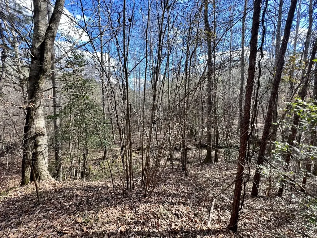 0 Ararat Road Toxey AL 36921