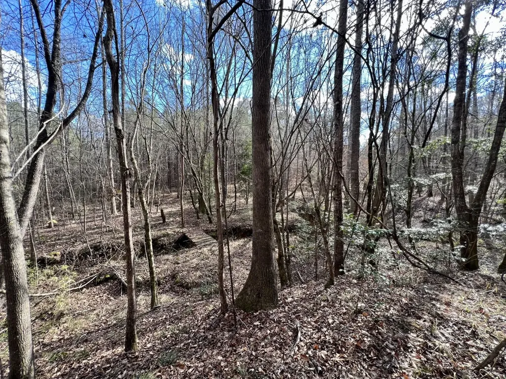 0 Ararat Road Toxey AL 36921