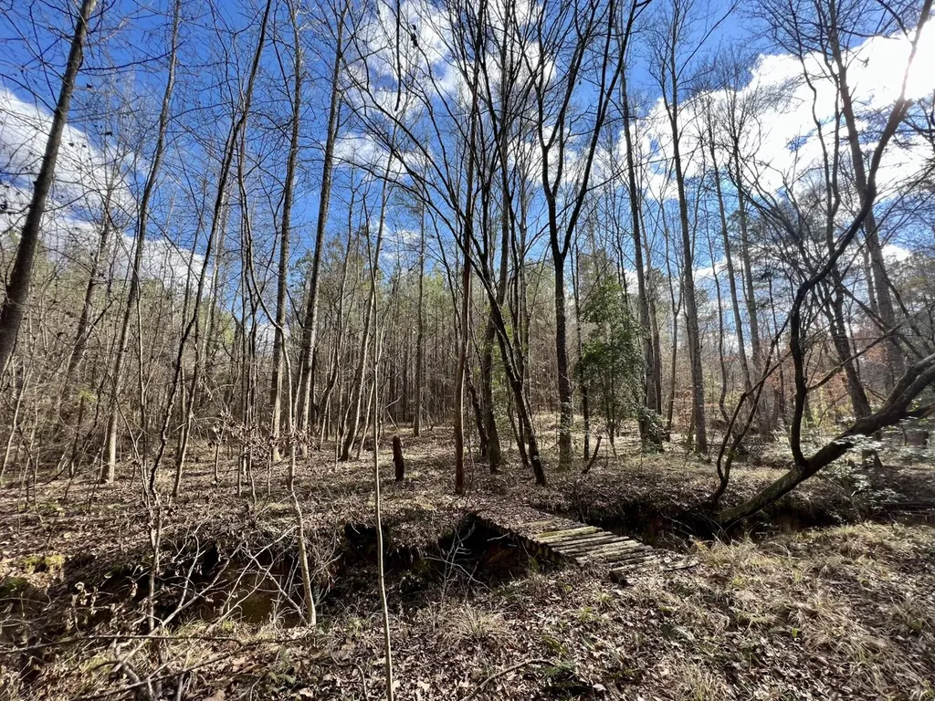 0 Ararat Road Toxey AL 36921