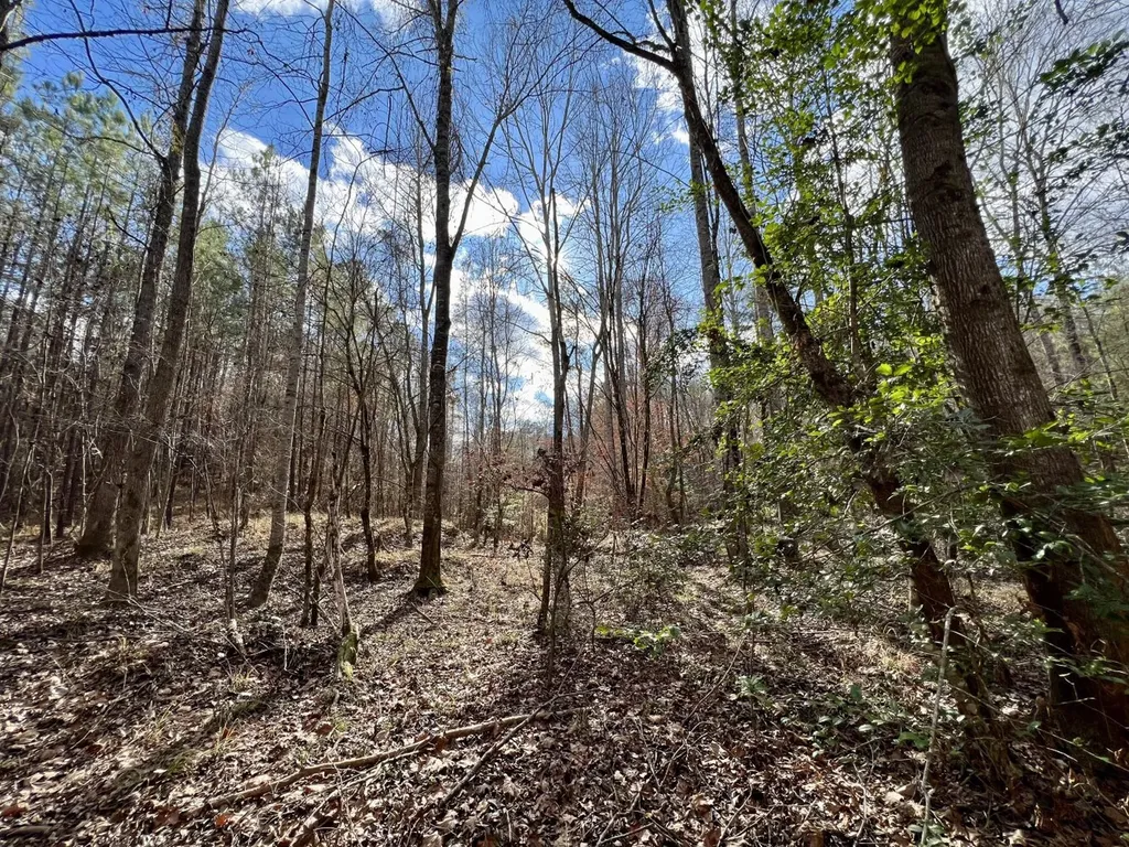 0 Ararat Road Toxey AL 36921