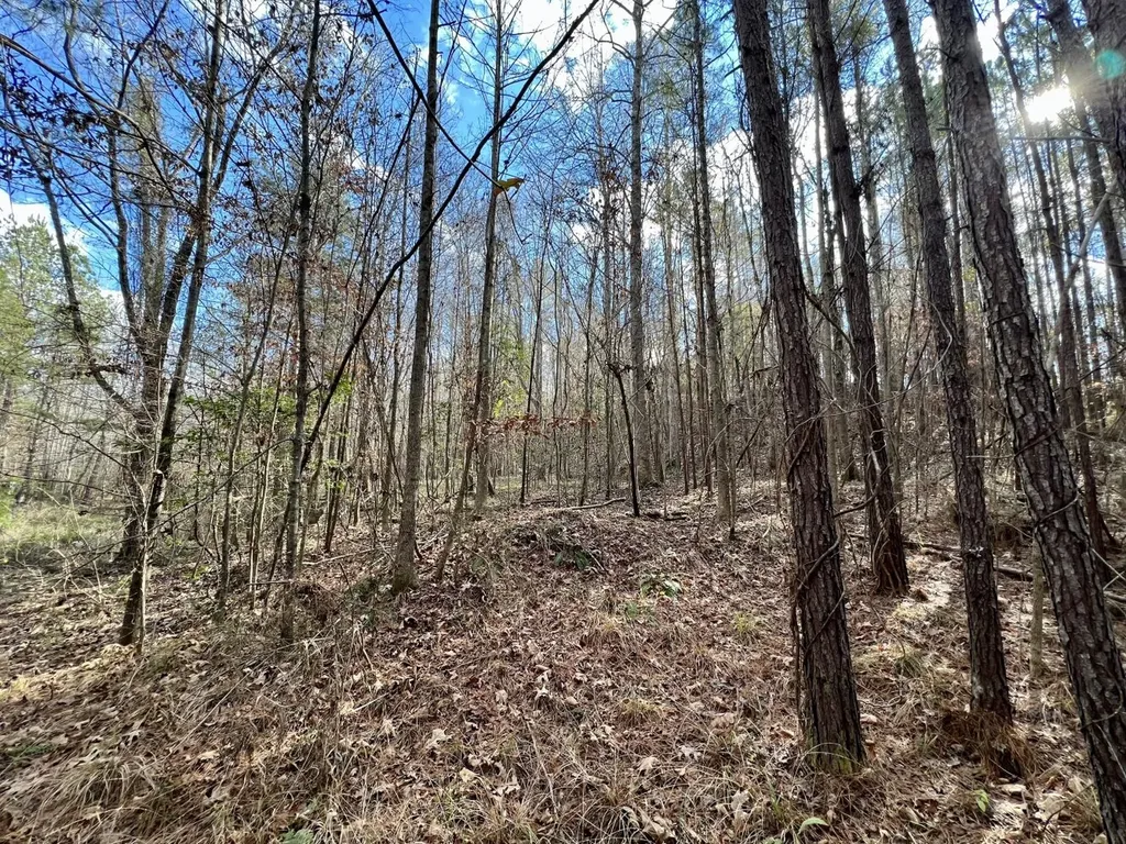 0 Ararat Road Toxey AL 36921