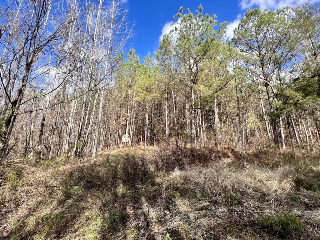 0 Ararat Road Toxey AL 36921