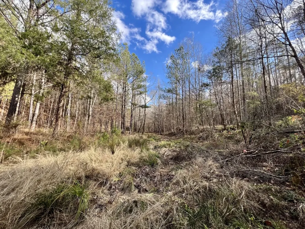 0 Ararat Road Toxey AL 36921