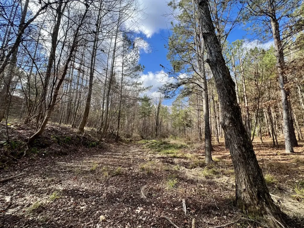 0 Ararat Road Toxey AL 36921