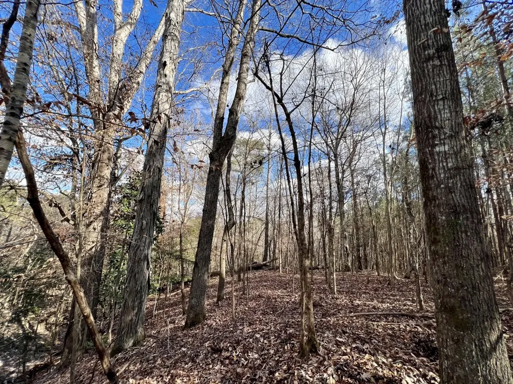 0 Ararat Road Toxey AL 36921