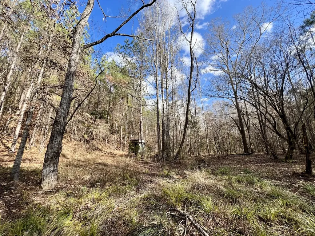 0 Ararat Road Toxey AL 36921