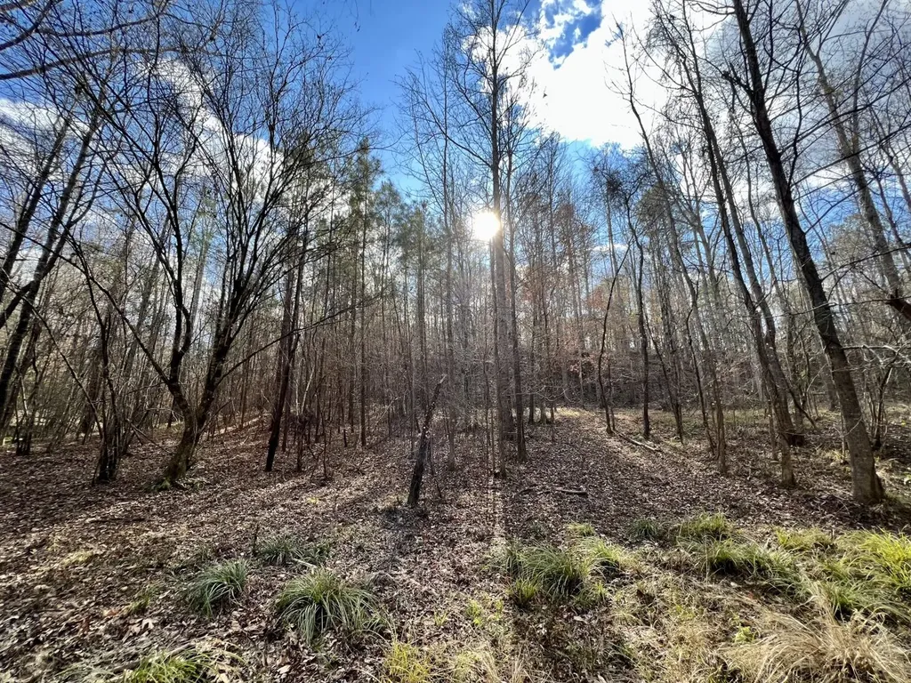 0 Ararat Road Toxey AL 36921