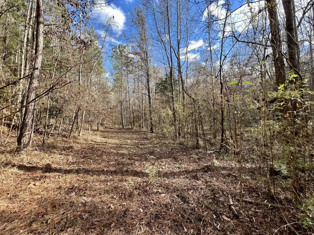 0 Ararat Road Toxey AL 36921