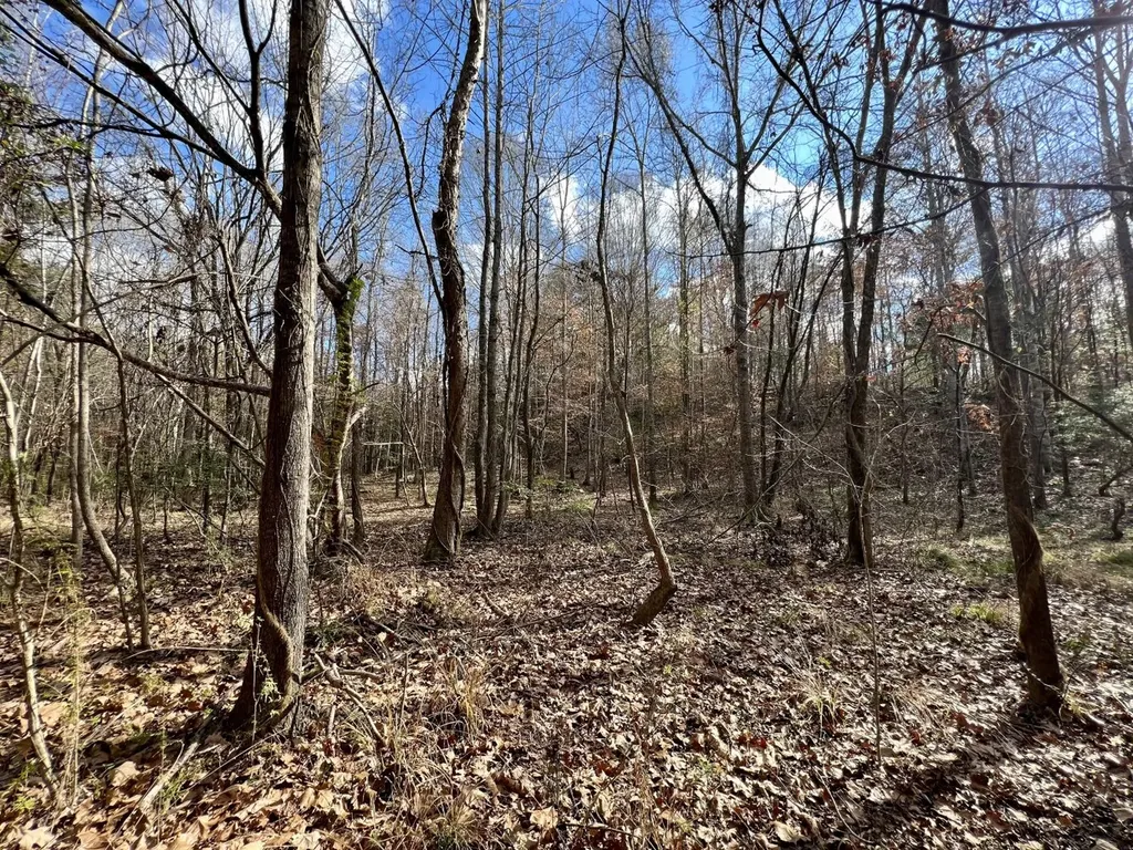 0 Ararat Road Toxey AL 36921