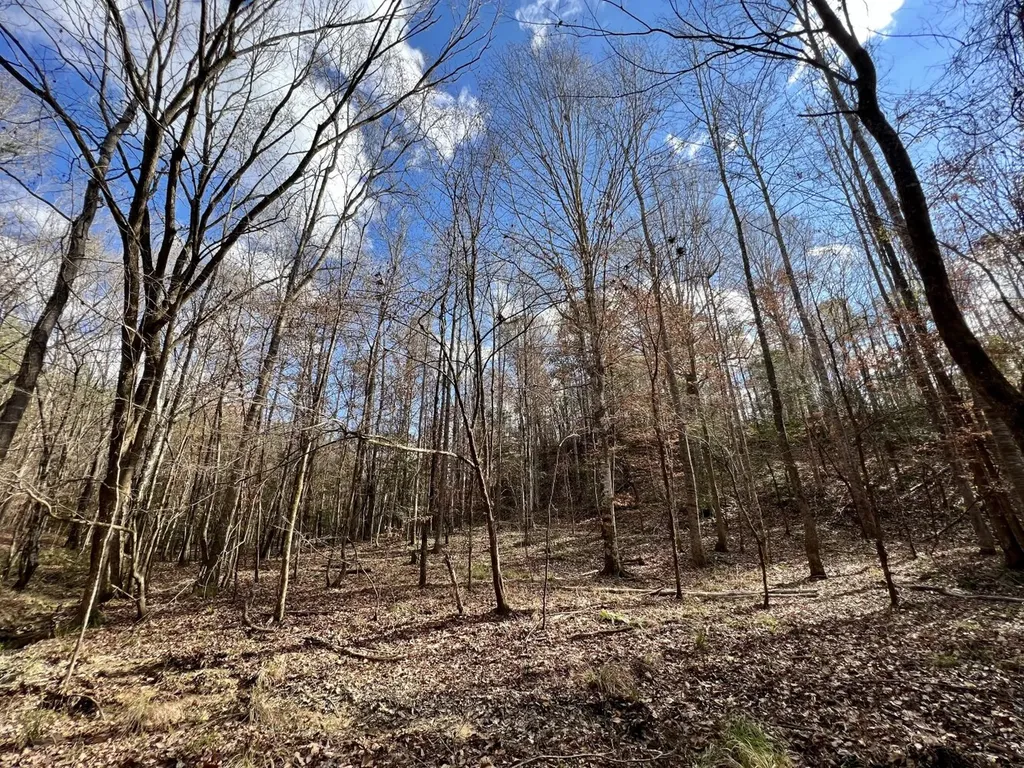 0 Ararat Road Toxey AL 36921