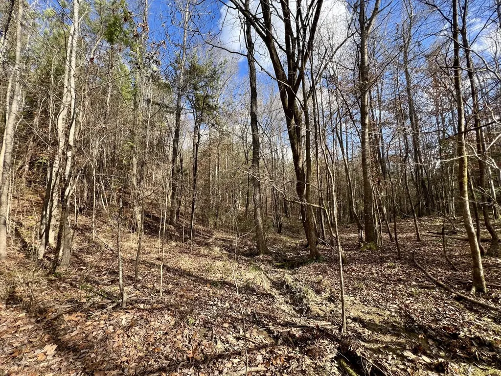 0 Ararat Road Toxey AL 36921