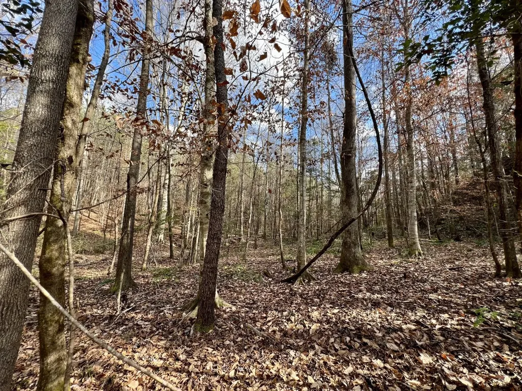 0 Ararat Road Toxey AL 36921