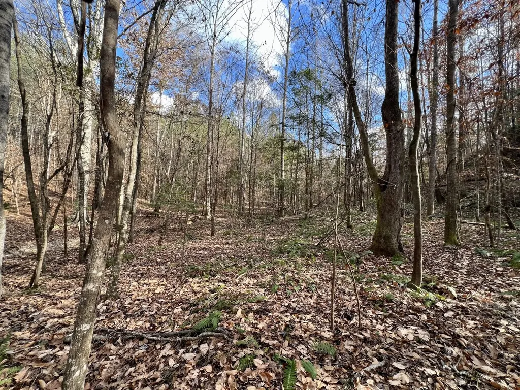 0 Ararat Road Toxey AL 36921